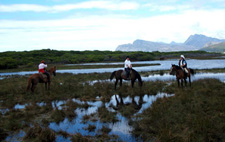 South Africa-The Cape-The Grand Western Cape Ride